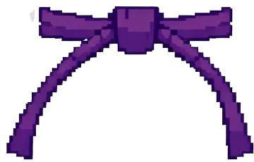 Purple Belt